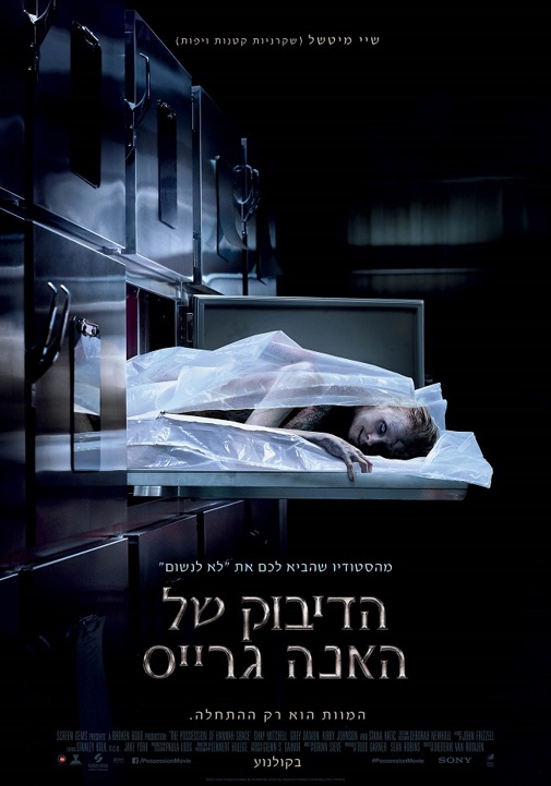 פוסטר